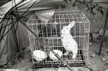 PAN400-NOV-2013-T30