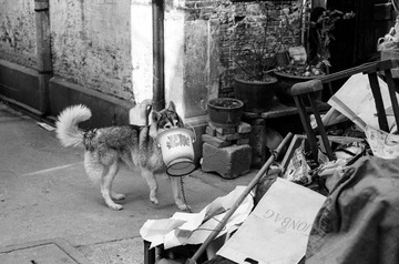 ACROS100-2013NOV-M6-17