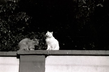ACROS100-2013NOV-M6-29