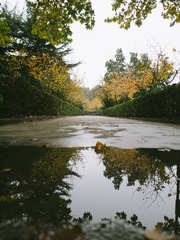 P1020409