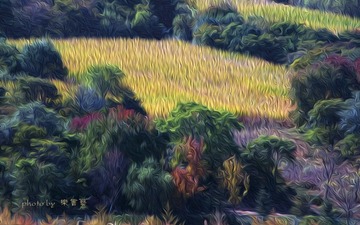 DSCN0373_