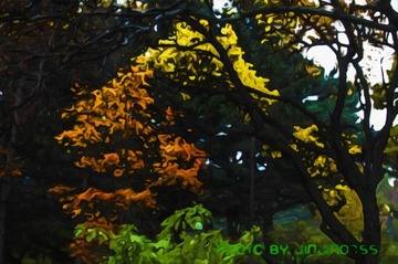 DSCN6560_