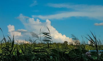 《 架空的乌托邦 》