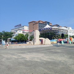 1000017272