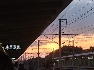 91919
