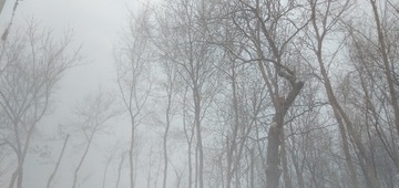 609368
