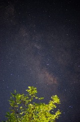 1000087842