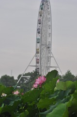 574934