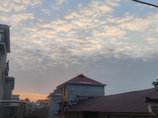 1000026640