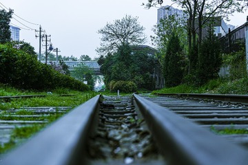 1000084225