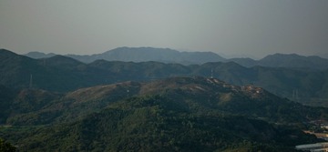1000036803