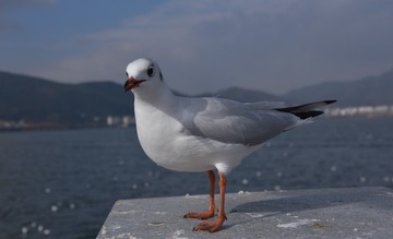 6760360