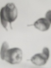 64747