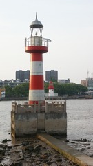 1000045611