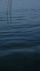 1000027334