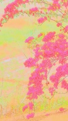 1000134540