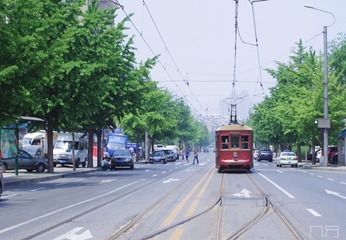 IMGP2463-1