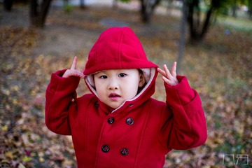 20161029-IMGP3777