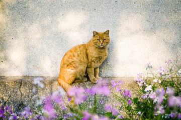 IMGP8429-4