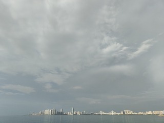 1000339532