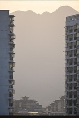 1000034164