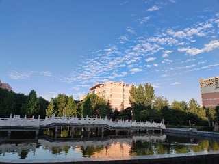 1000019552
