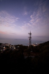 1000057228