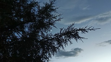 1000007854