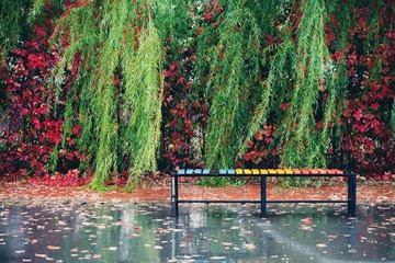LG5X0879.jpg