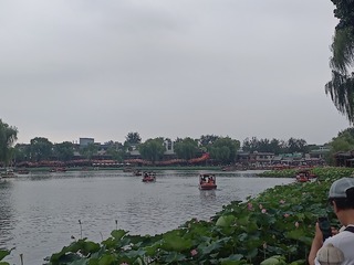 1000078004