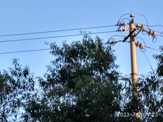 274839