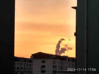 296528