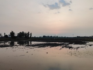 1000008482