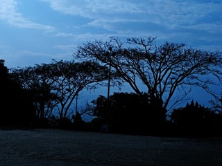 IMG_1388.jpg