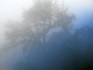 IMG_1535.jpg