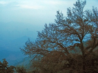 IMG_1451.jpg