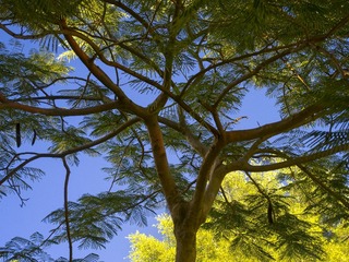 DSCN0291.jpg