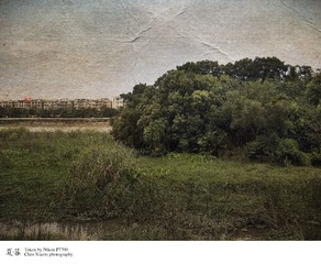 DSCN03441.jpg