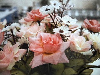 DSCN03211.jpg