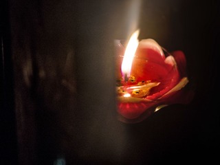DSCN05124.jpg