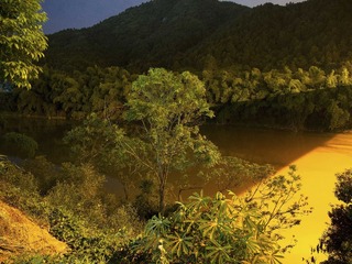 080113DSCN0778.jpg