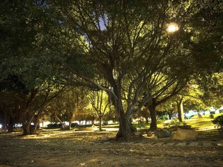 080913DSCN0852.jpg
