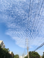 1000008618