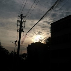 598264