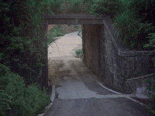 1000255137