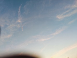1000028175