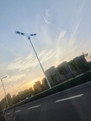 1000028517
