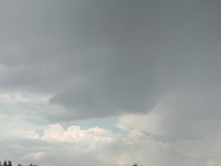 1000025645