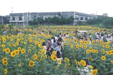 DSCF7845