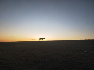 210131